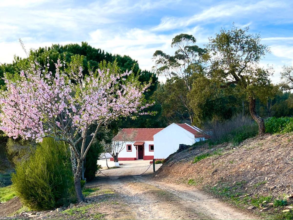 Monte Do Pereiro Vila Santiago do Cacém Exterior foto